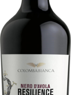 Resilience Nero d'Avola Sicilia DOC